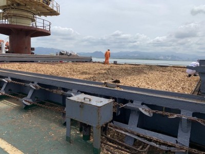 DĂM GỖ XUẤT KHẨU TÂN TIẾN THÀNH