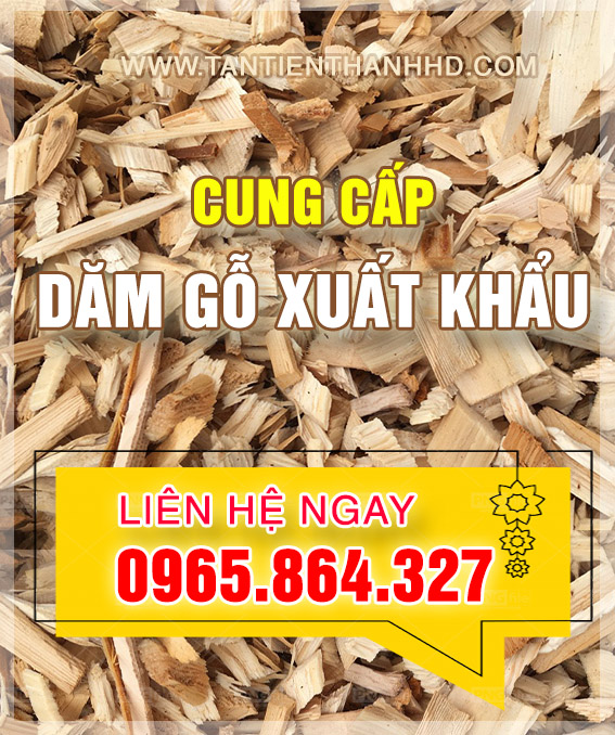 Xuất khẩu Dăm gỗ